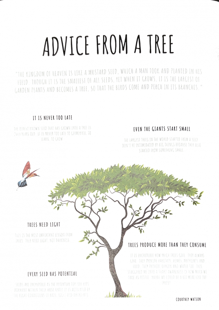 Tree_Back_Page