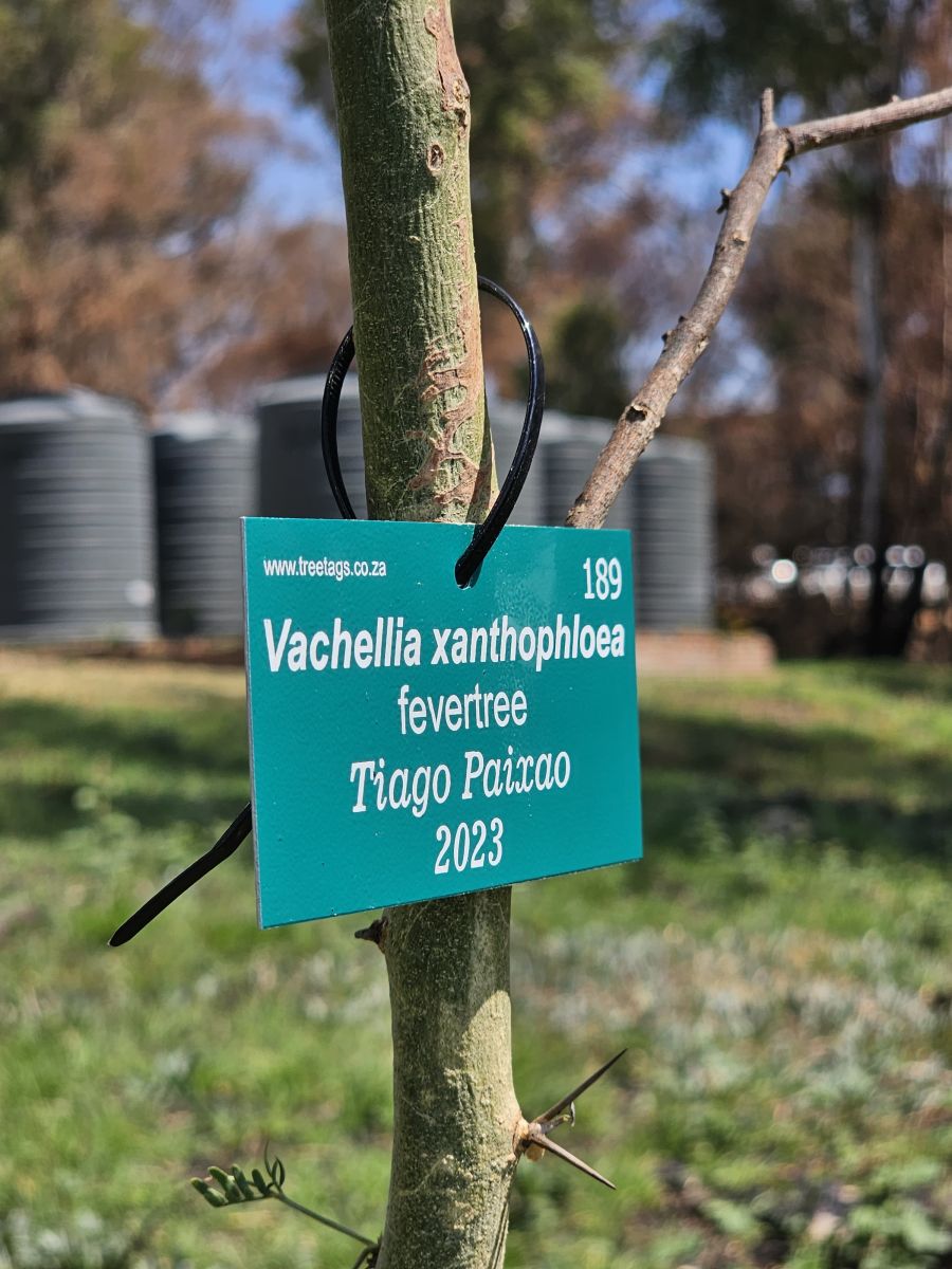 Matric tree planting 2023 (21)