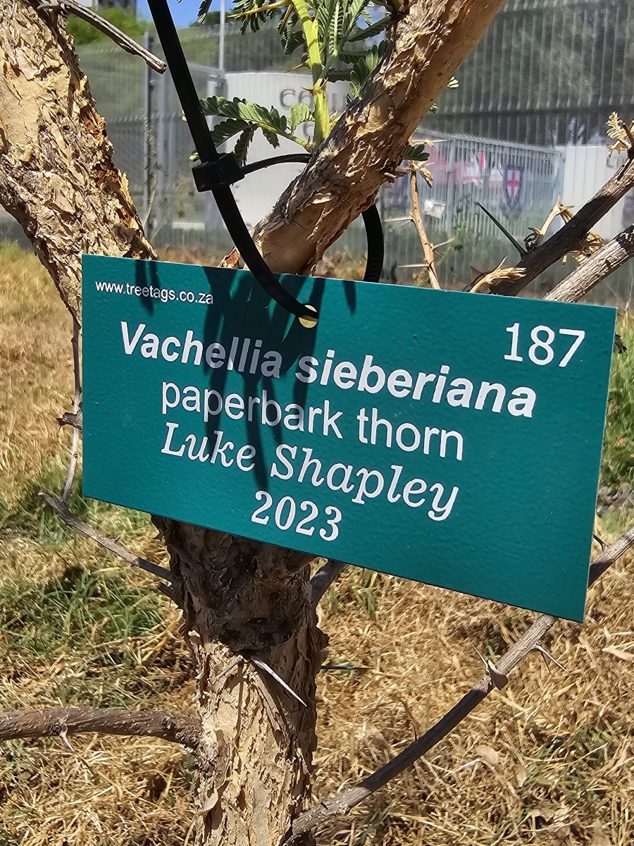 Matric tree planting 2023 (7)