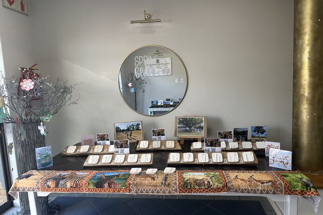 From Playdough to Plaster: A Journey of Discovery and Creation In Grade RR