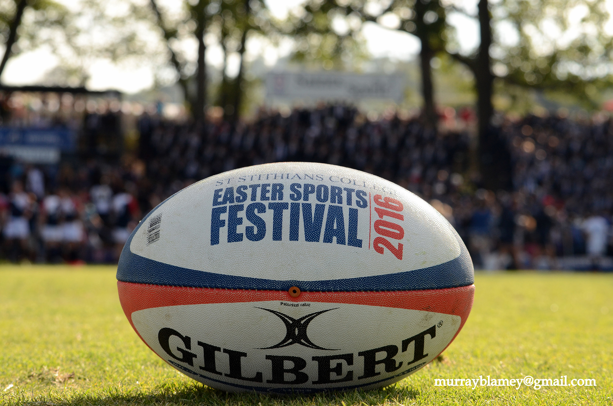 Festival_Murray_Blamey