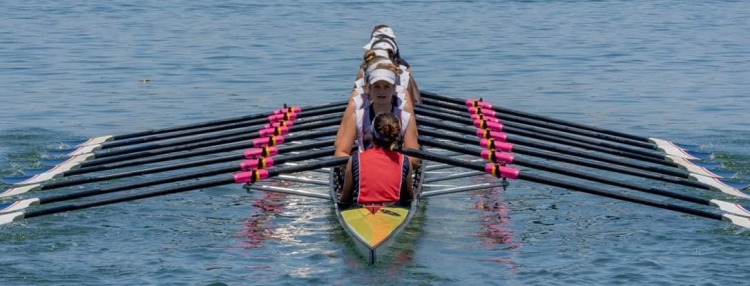 rowing_pink_blades