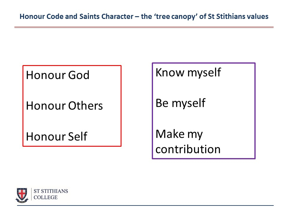 Honour_Code_Saints_Character_Tree_Canopy.jpg