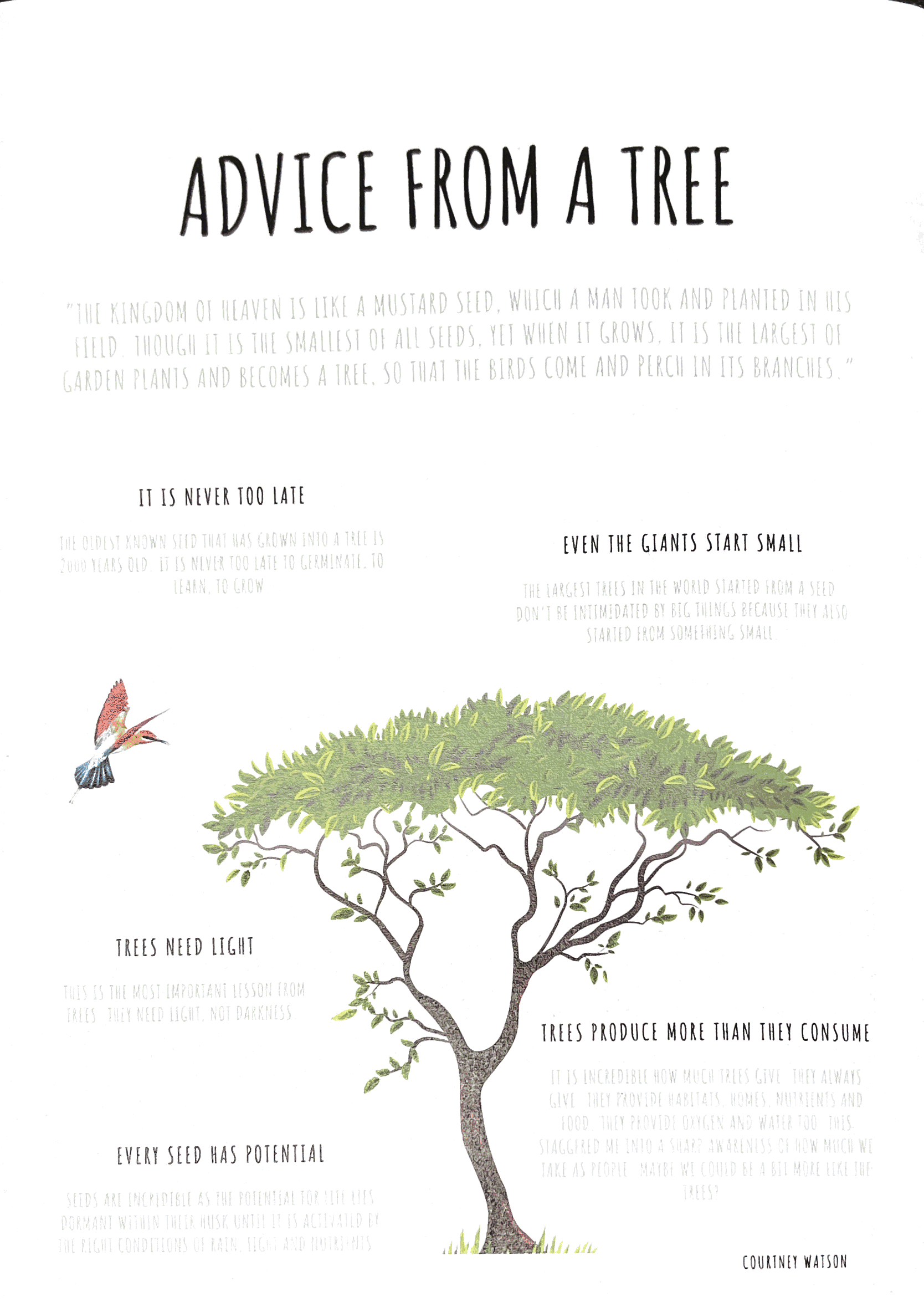 Tree_Back_Page