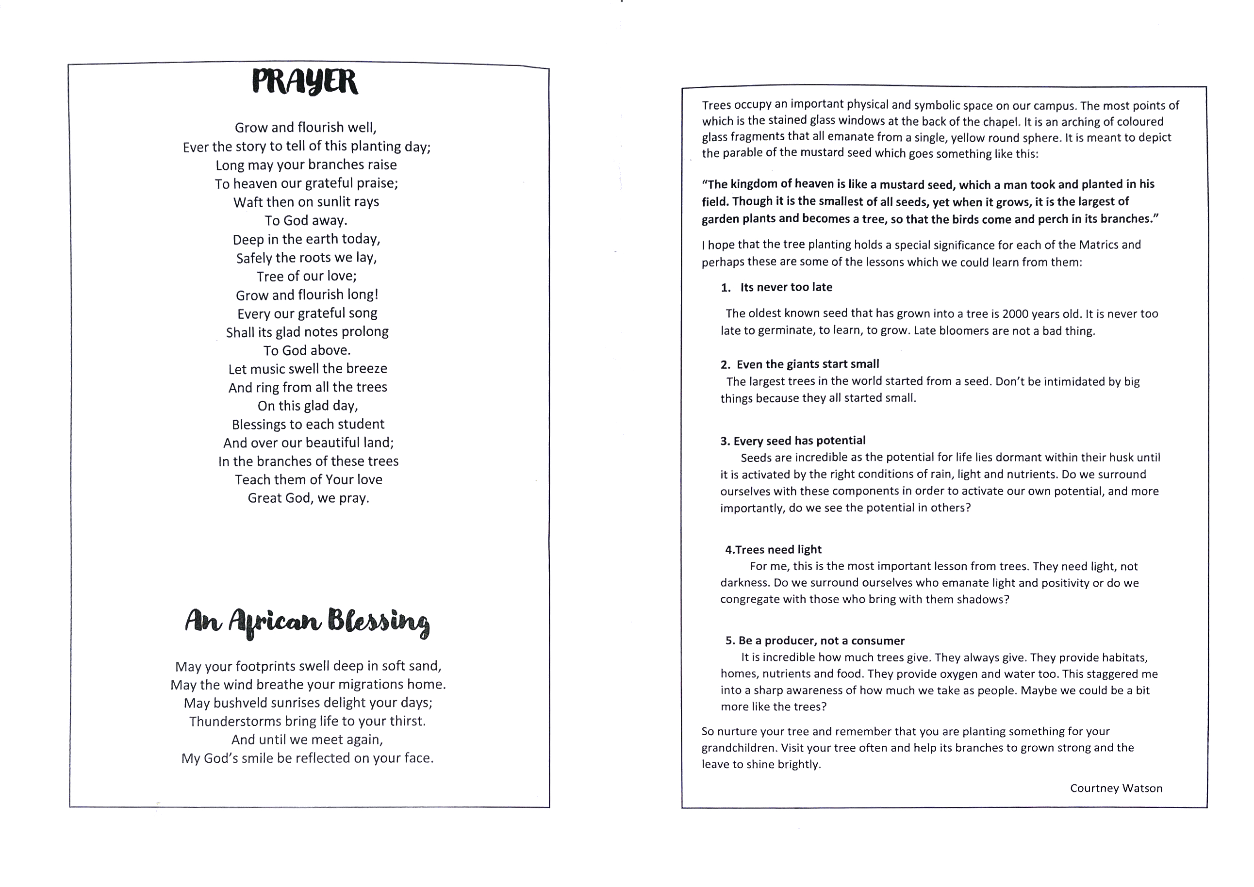 Tree_Brochure