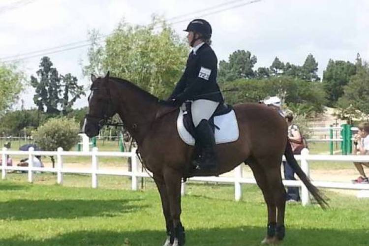 equestrian