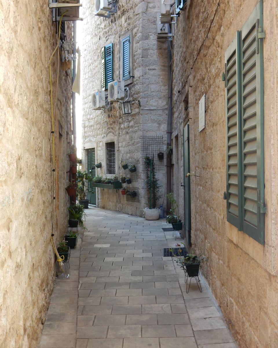Dscn3640