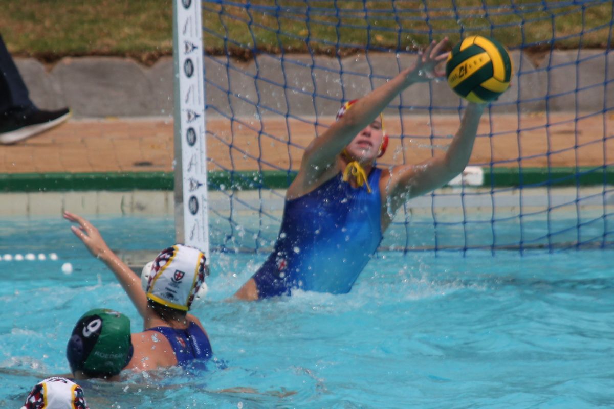 Zanne save