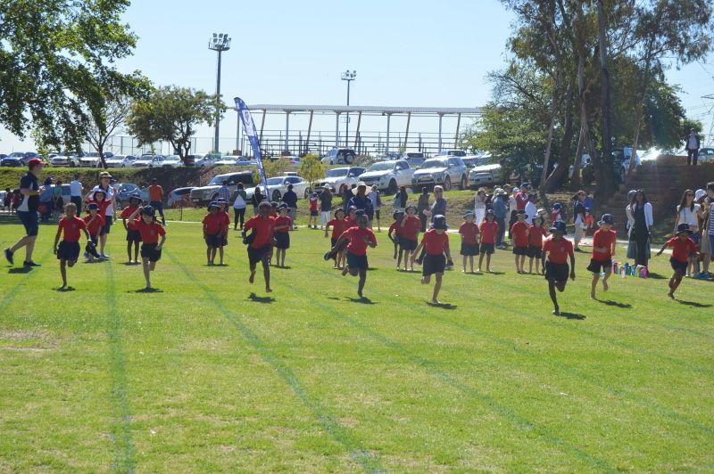 Dsc 0174 (800x532)