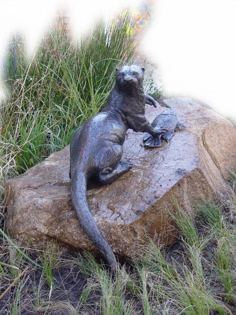 Otter2 (480x640)