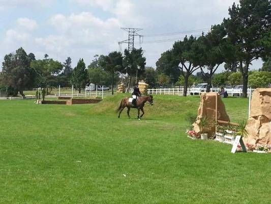 Equestrian-2