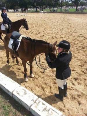Equestrian-4