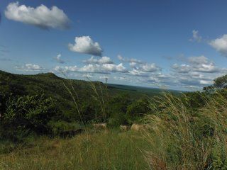 Dscf2709