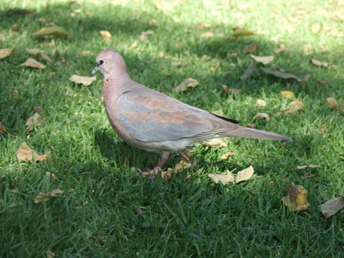 Dscf1658