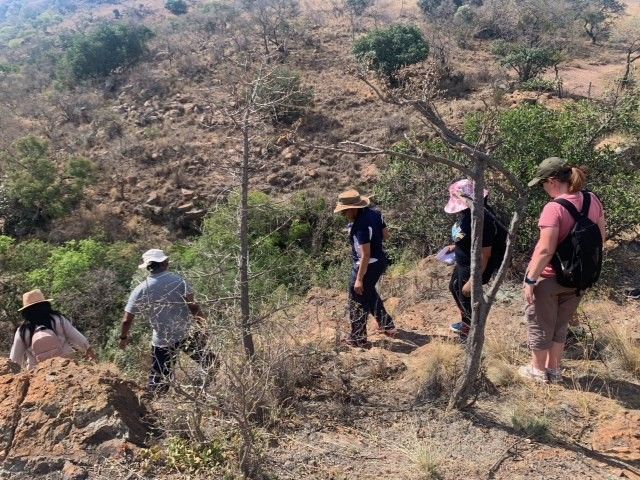 Staff being guided on the wisdom of africas medicinal plants and the secrets animals leave behind
