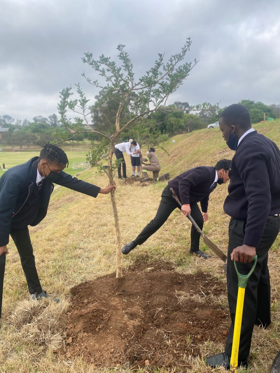 Bc matric tree planting 2021 (3)
