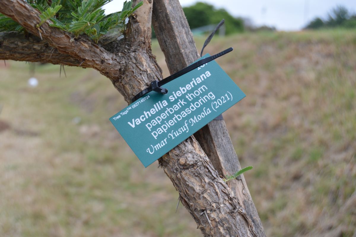 Bc matric tree planting 2021 (68)