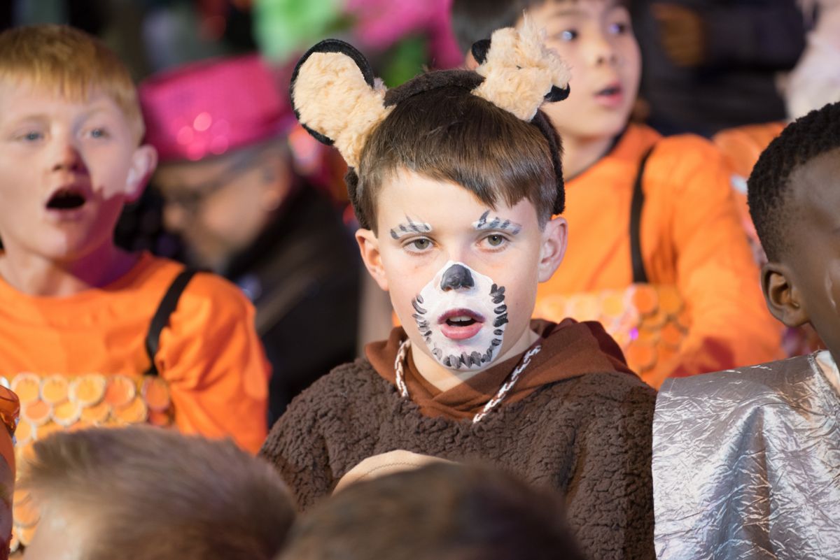 Bear
