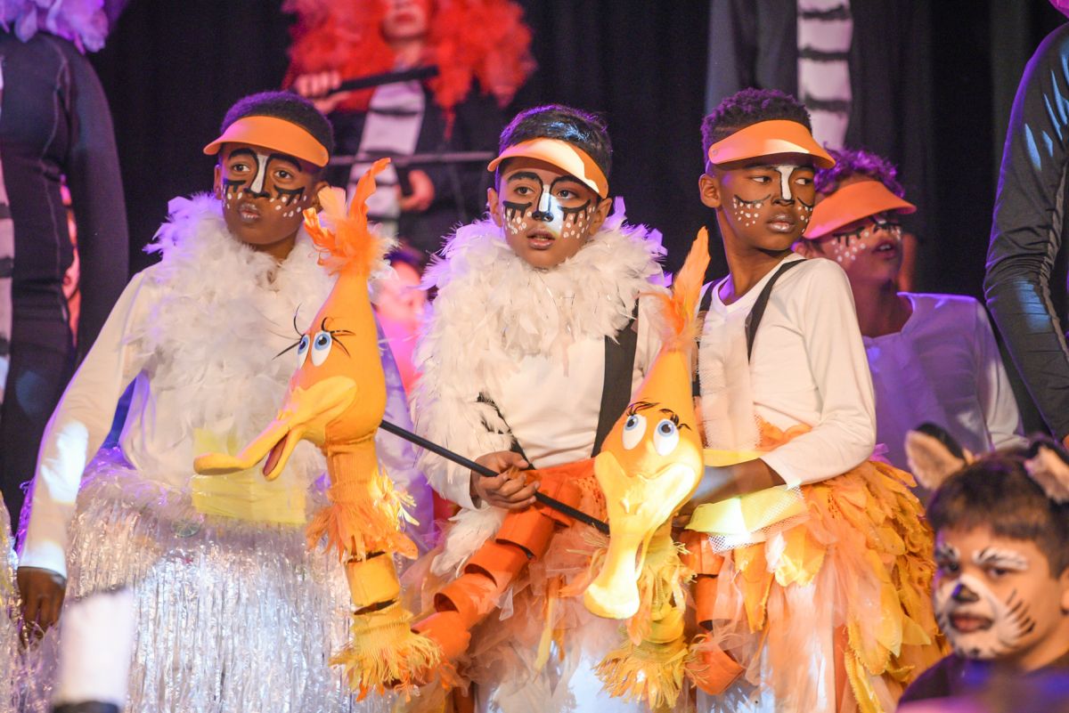 Ostriches