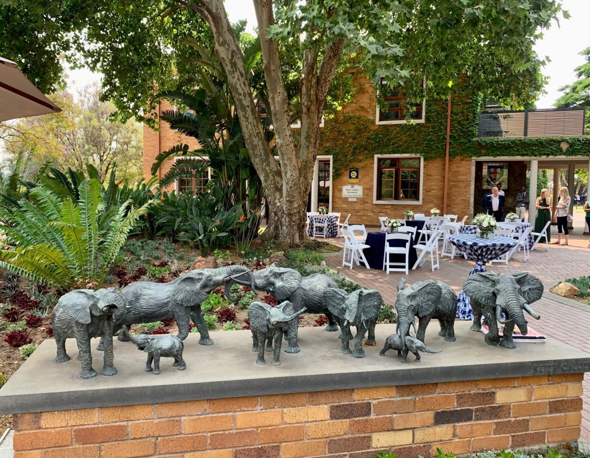 Induction elephant quad