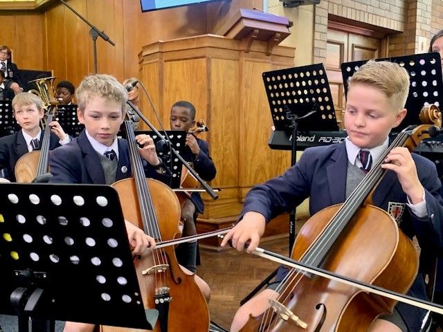 Cellos