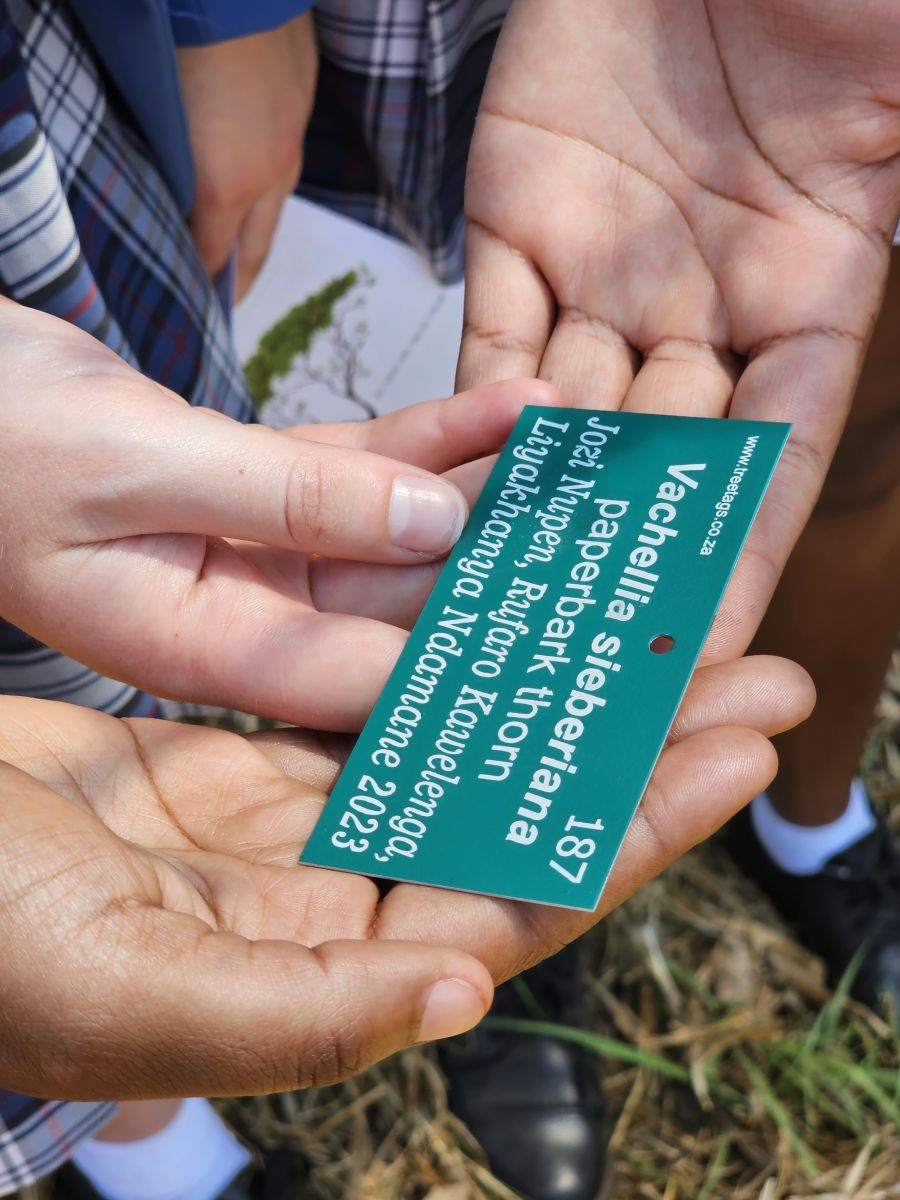 Matric tree planting 2023 (16)