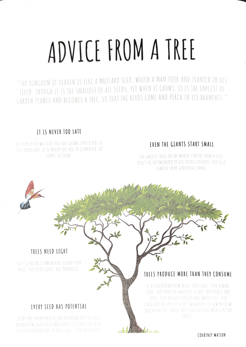 Tree back page