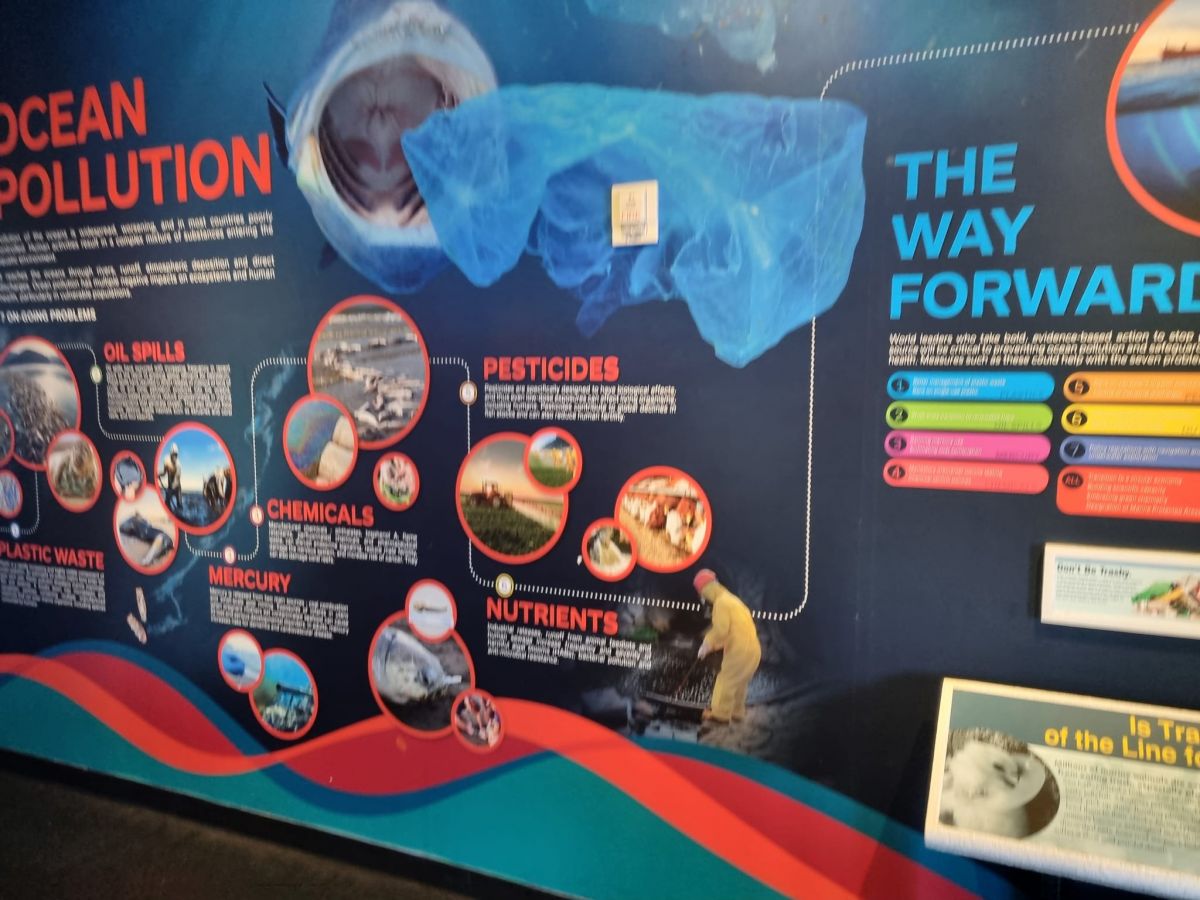 Usa stem tour 2024 (16)