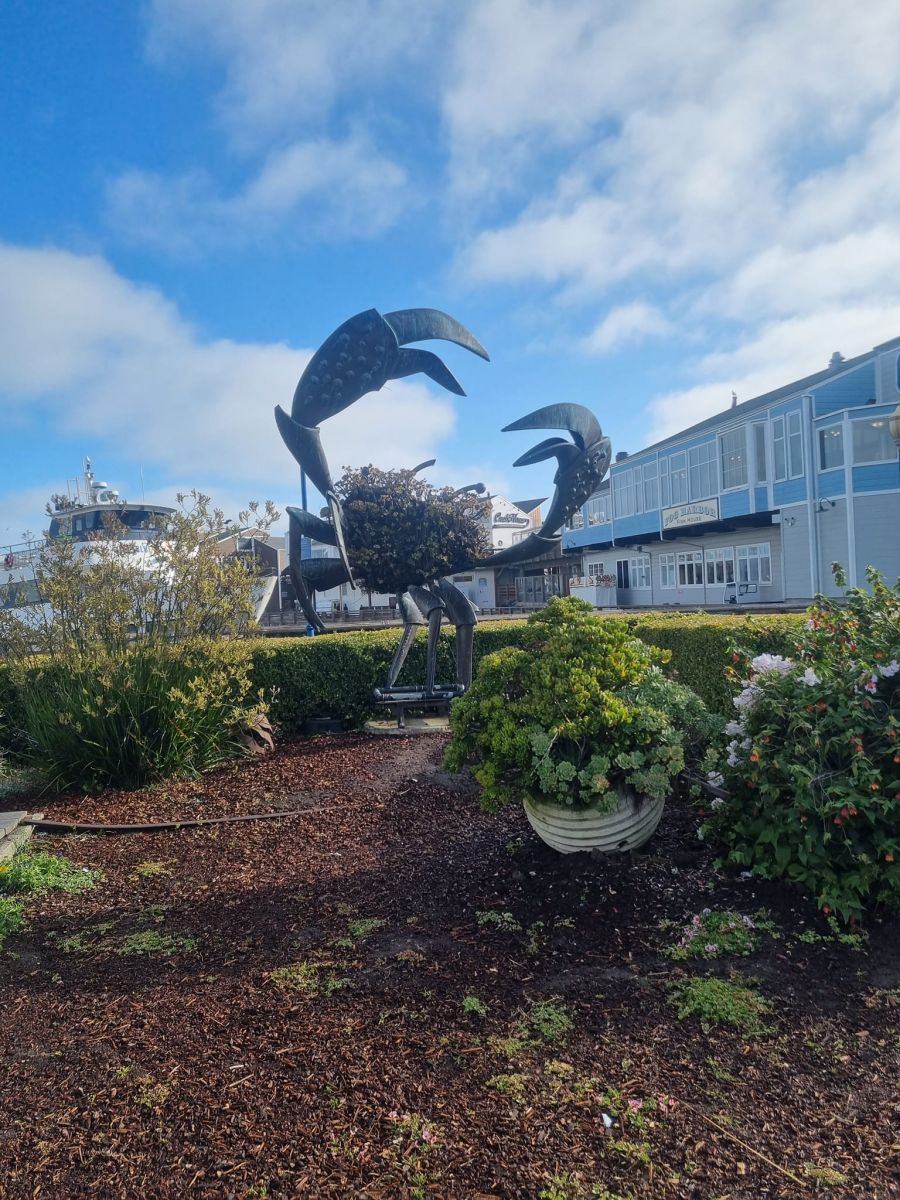 Usa stem tour 2024 (27)