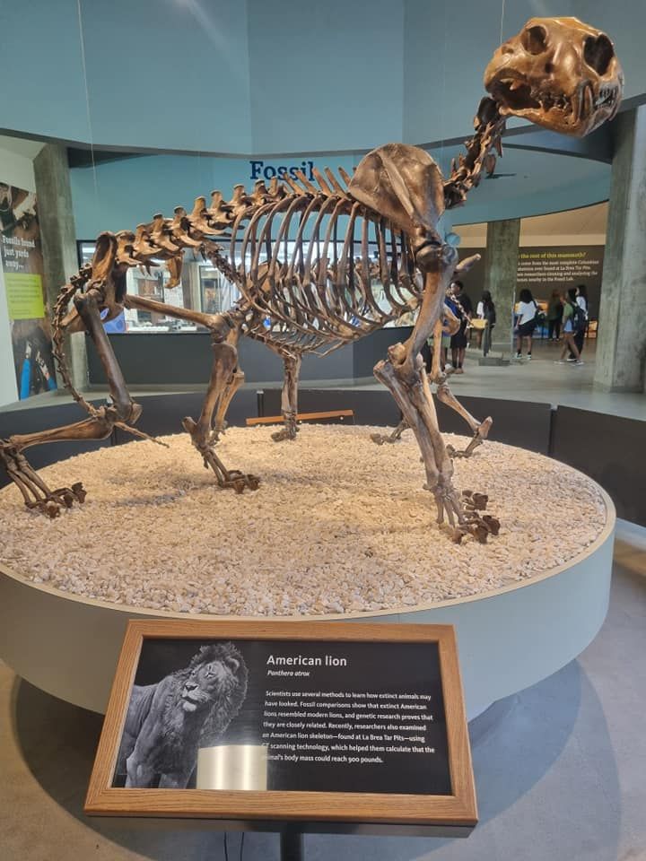 Usa stem tour 2024 (37)