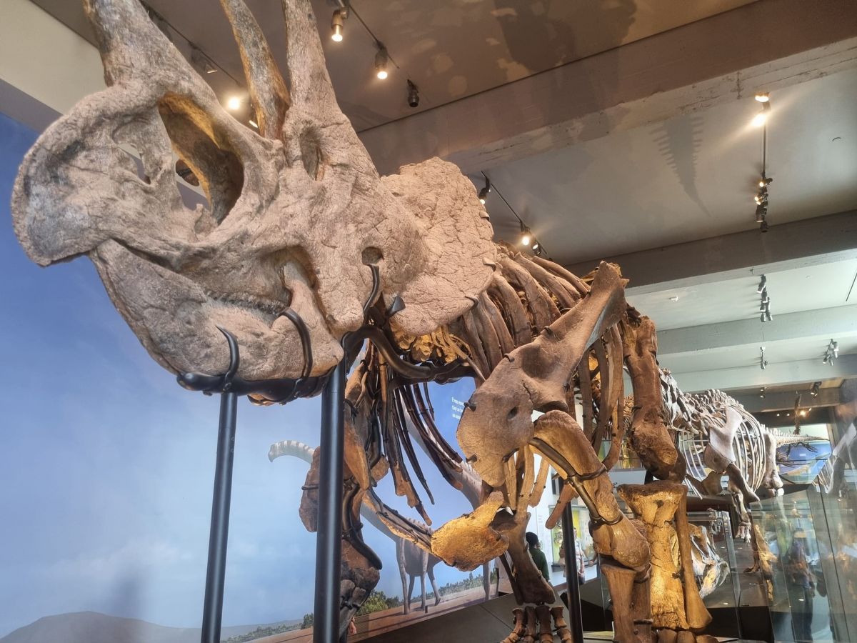 Usa stem tour 2024 (44)