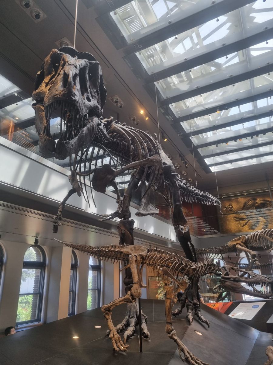 Usa stem tour 2024 (49)