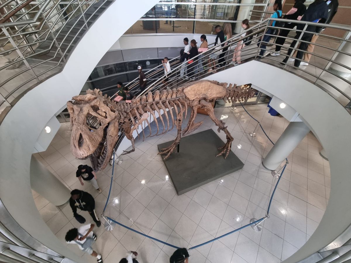 Usa stem tour 2024 (56)