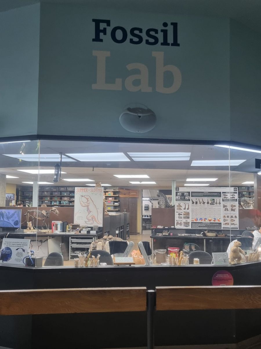 Usa stem tour 2024 (81)