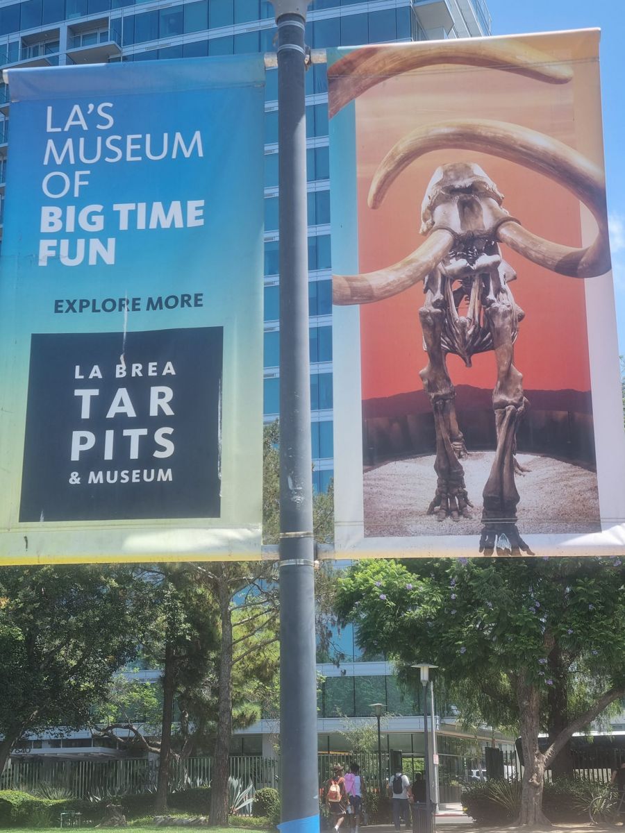 Usa stem tour 2024 (82)