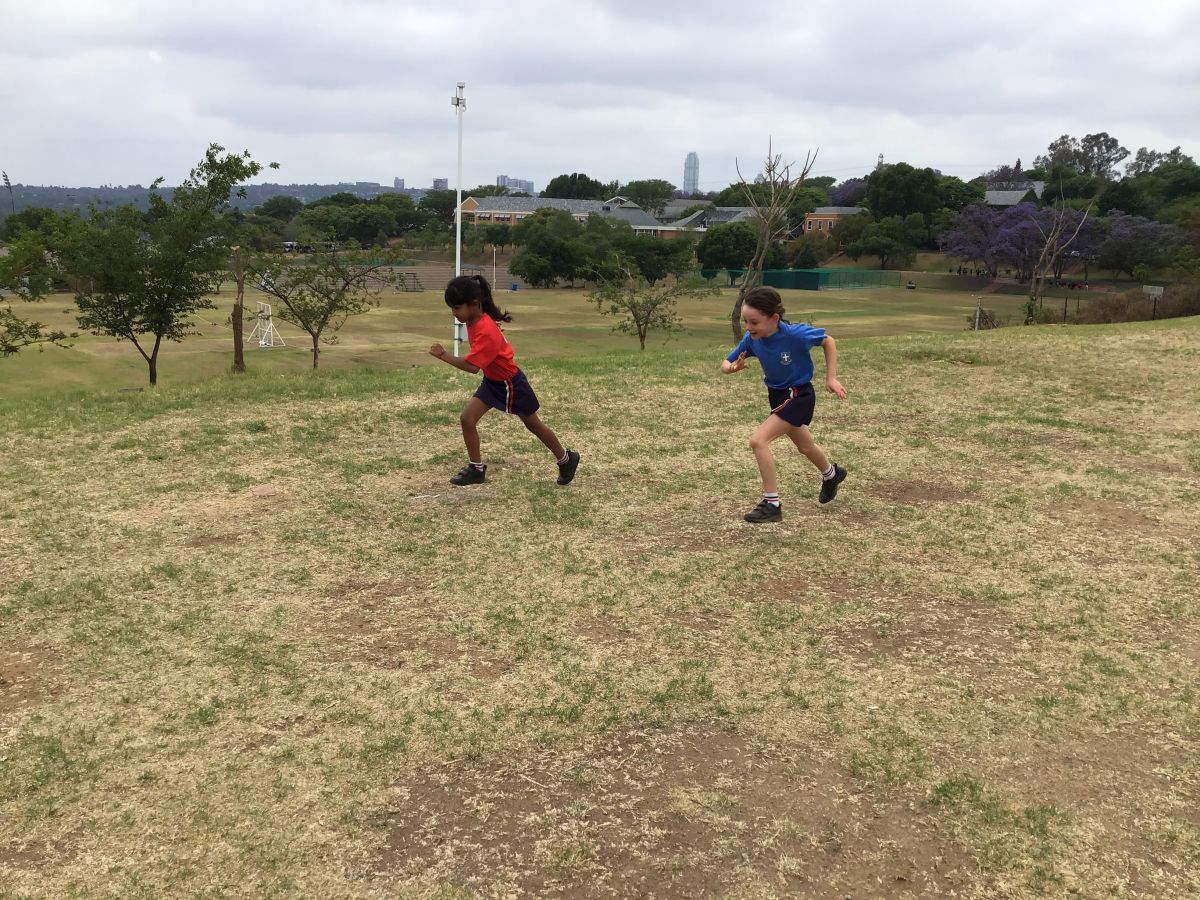 Img 0129