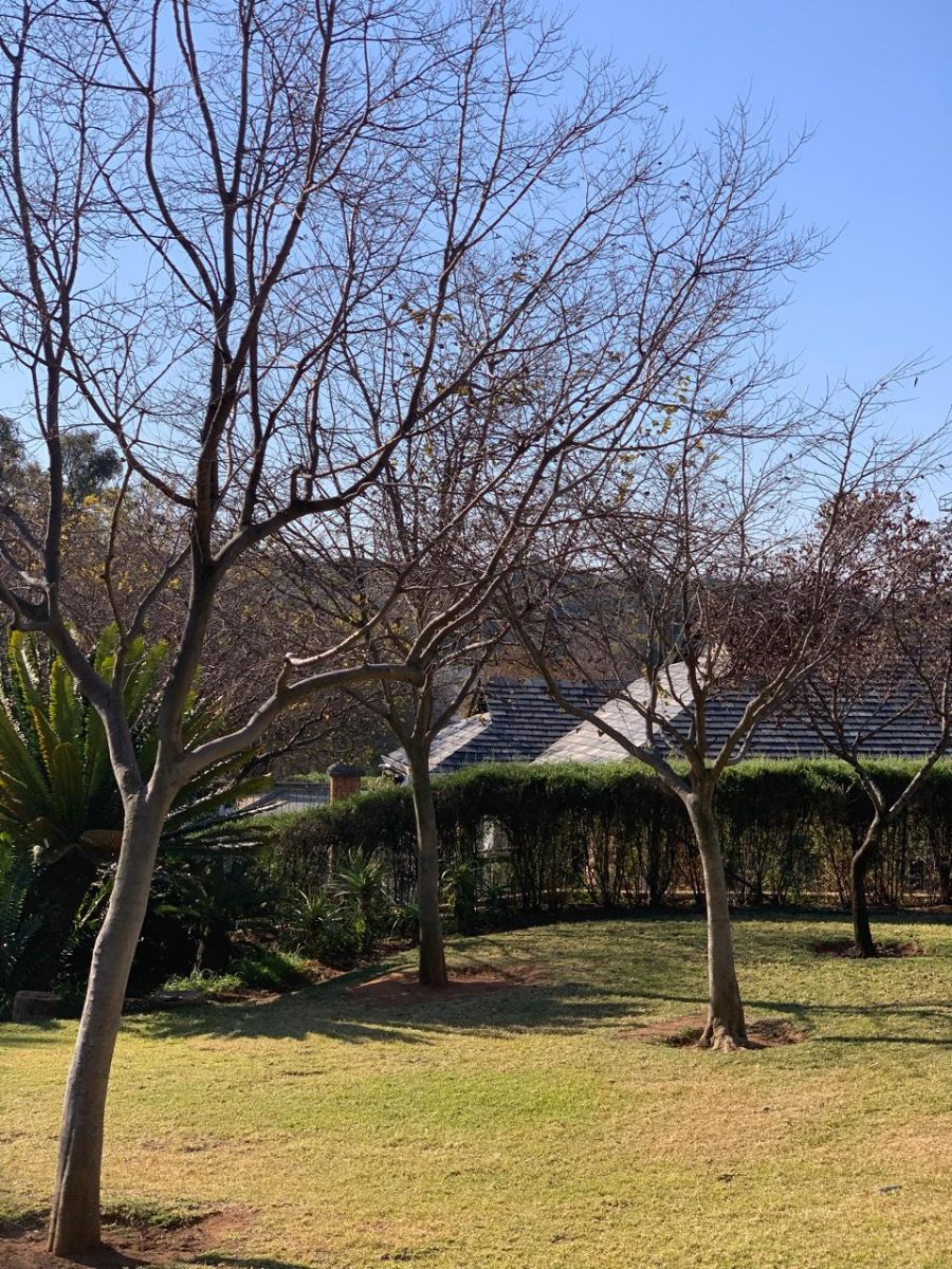 Img-20250624-wa0016