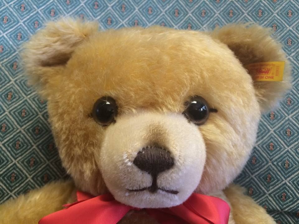 Teddy 10