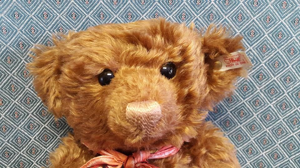 Teddy 11