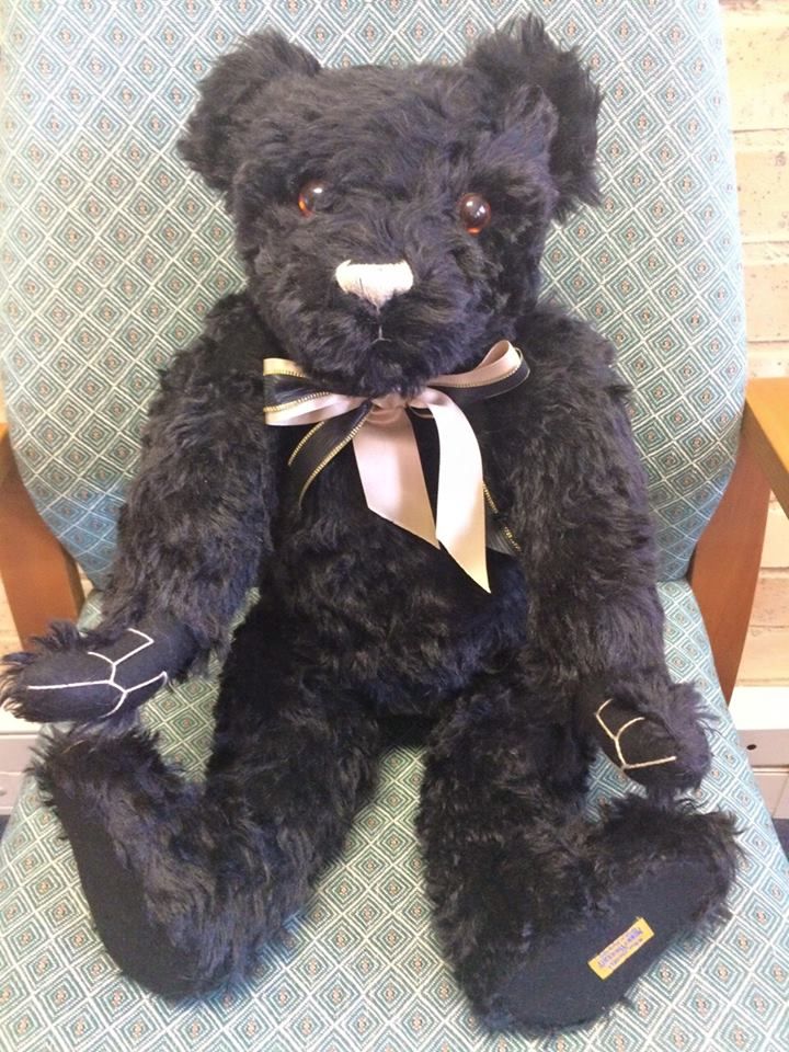 Teddy 13