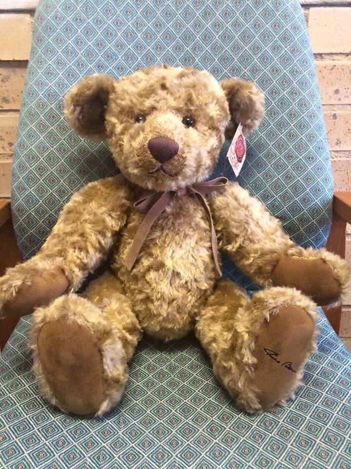 Teddy 14