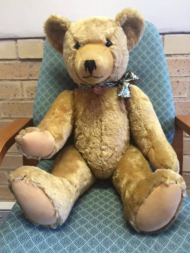 Teddy 15