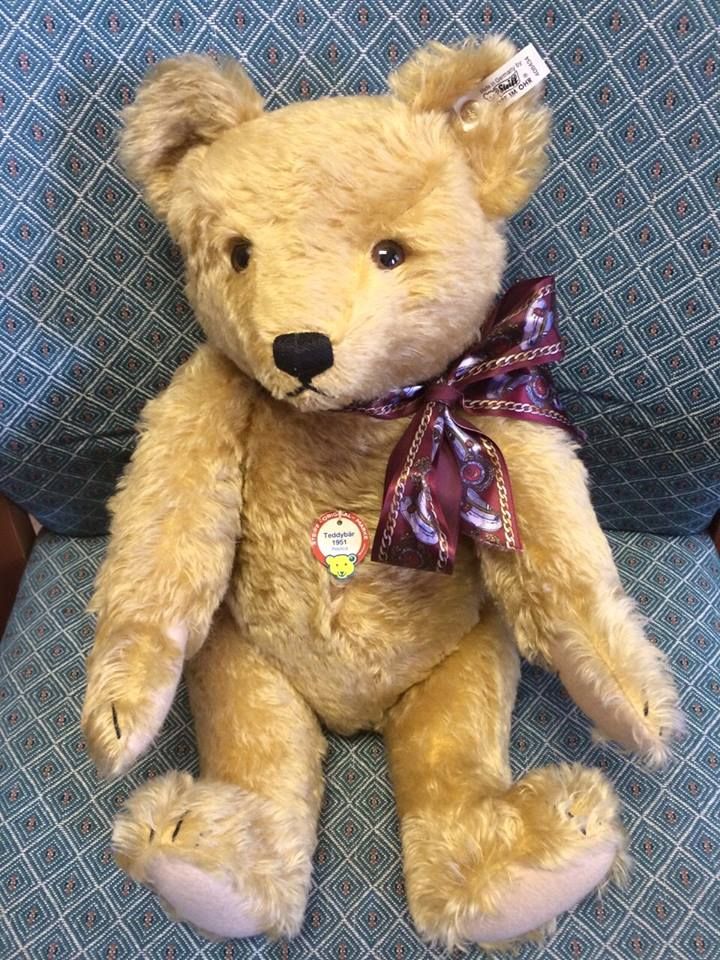 Teddy 16