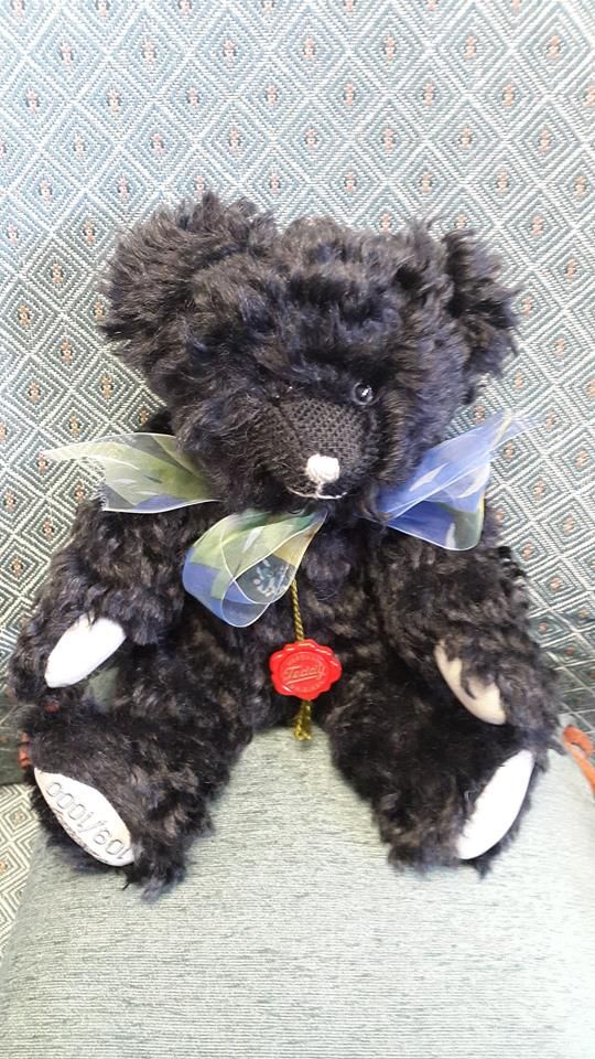 Teddy 8