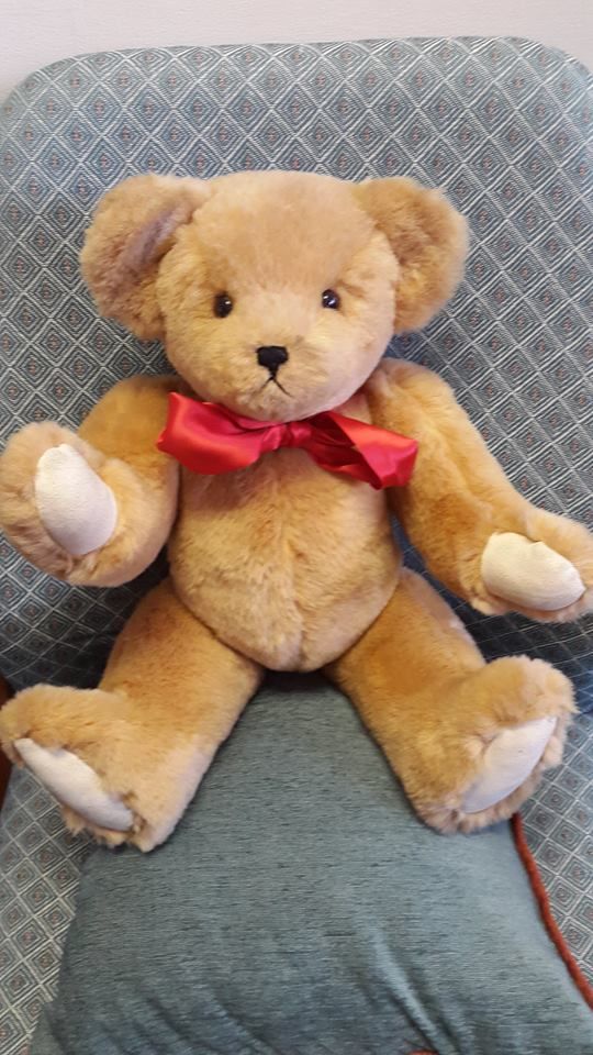 Teddy 9