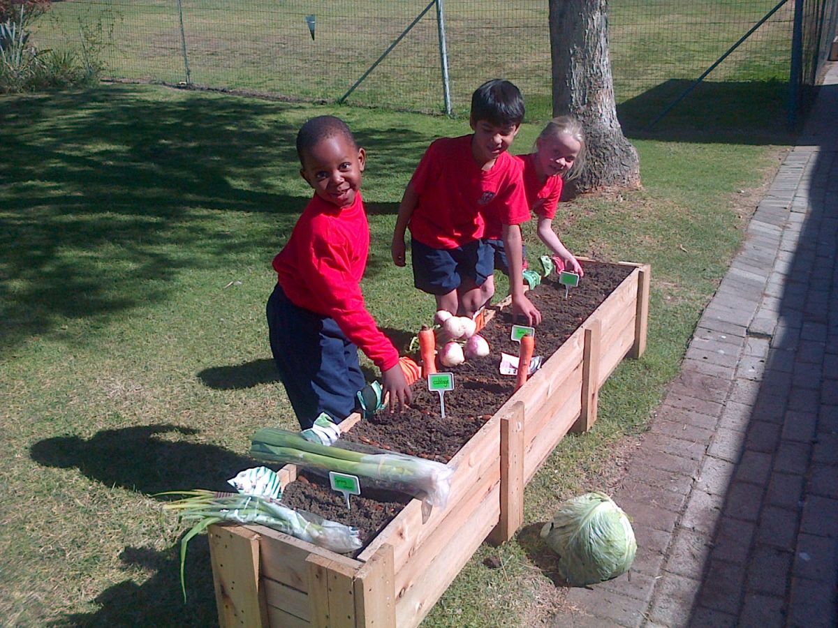More farming