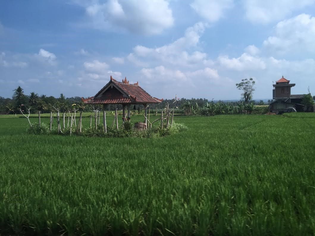 Bali 4