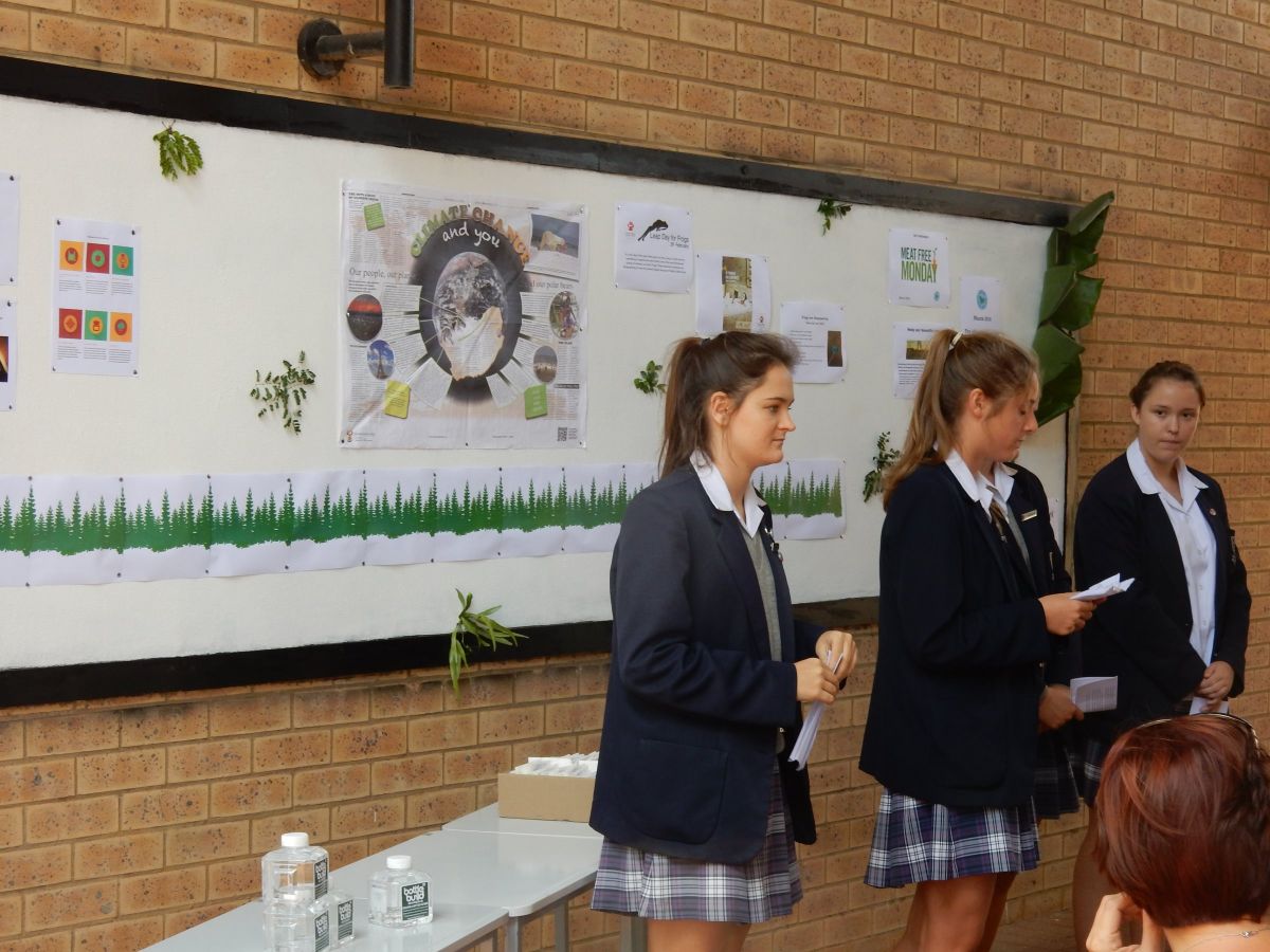 Open day environment