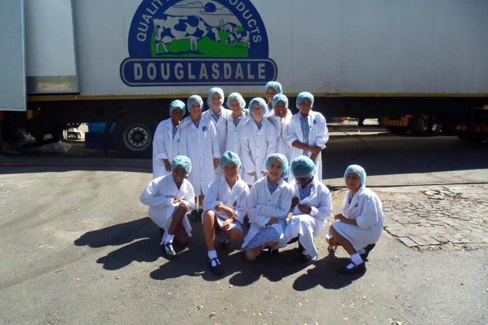 Dairy group pic