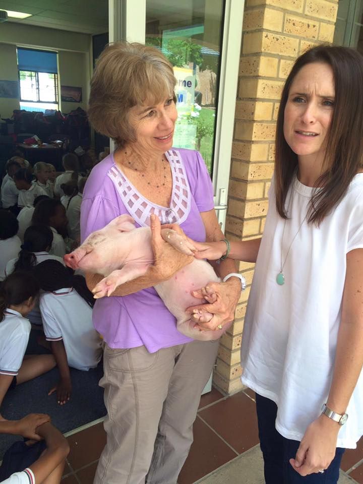 G4 pig visit